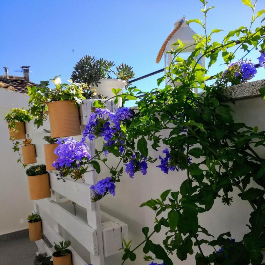 B&B Porta Girone Civitanova Alta Exterior foto